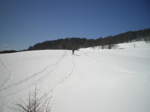 IMGP8230